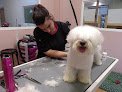 Negocio Perruqueria I EstÈtica Canina Isa MonzÓ