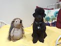 Negocio Pichichus: Peluqueria Canina En Mallorca