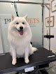 Negocio Piera Pets - Peluquería Canina Retiro Madrid