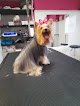 Negocio Rose Style Peluquería Y Estética Canina
