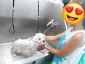 Negocio Salón De Belleza Mimos - Peluquería Canina Y Consulta Veterinaria