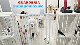 Negocio Spa Ponlo Xulo Peluquería Y Estética Canina Born