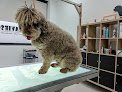 Negocio Traviesos Peluquería Canina & Artículos Para Mascotas