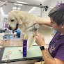 Negocio Trufa - Peluquería Canina Y Felina