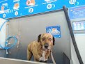 Tu Centro De Lavado Y Peluquería Canina Y Felina En Gijón