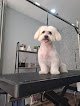 Valira, Peluquería Y Estética Canina Y Felina