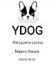 Y Dog