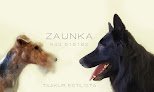 Negocio Zaunka Txakur Ileapaindegia