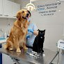 Zococan,clínica Veterinaria En Murcia.ronda Sur.